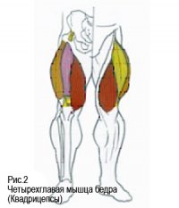 «Развитие физических способностей тела в танцевальном спорте» Автор: Кривошеева С.В.